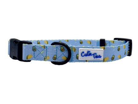 Cutie Ties Fun Design Dog Collar Online