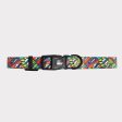 GF Pet  Printed Collar Discount