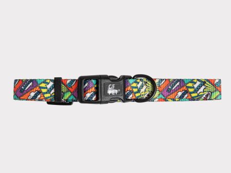 GF Pet  Printed Collar Discount