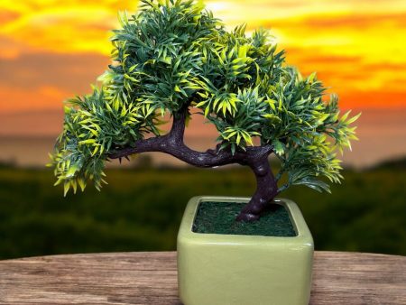 Yellow and Green Sideways Bonsai -Good Gift Online Sale