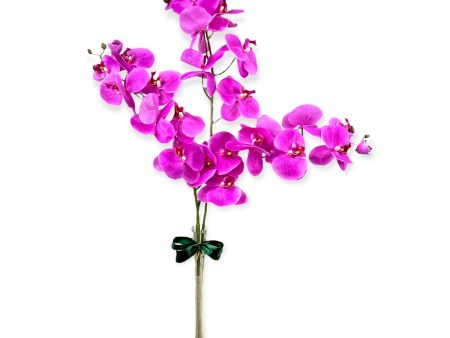 Stunning Artificial Orchids in Glass Vase Hot on Sale