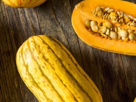 Winter Squash Sale