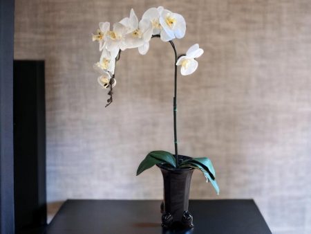 Stunning Orchids in Black Ceramic Legged Pot-Artificial (Perfect Gift) Online Hot Sale