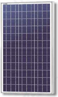 Solarland Solar Panel 60W 12V C1D2 - SLP060-12C1D2 Online