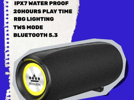 ROYQUEEN Bluetooth Speaker,30W Loud Stereo Sound Portable Speaker, Deep Bass, IP67 Waterproof and Dustproof, Wireless Dual Pairing, Built-in Mic, for Outdoor, Indoor Discount