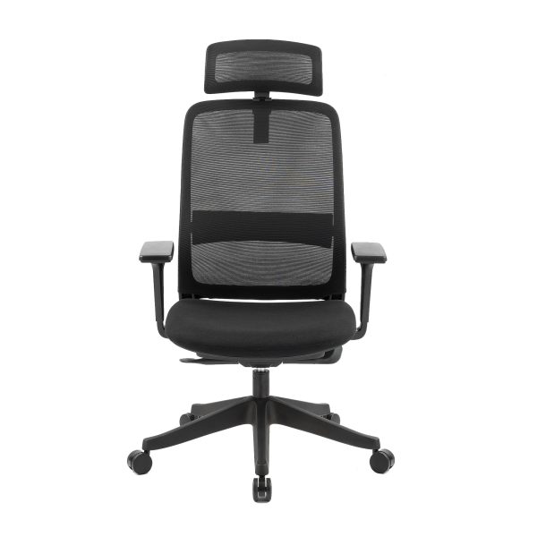 Carlie High Back Molded Foam Seat Ergonomic Office Chair In Black Supply