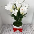 Stunning White Flowers in Ceramic Planter - Artificial-Good Gift Online now