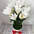 Stunning White Flowers in Ceramic Planter - Artificial-Good Gift Online now