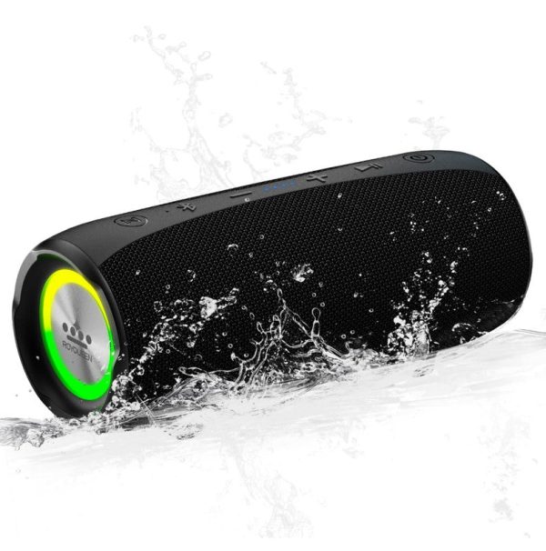 ROYQUEEN Bluetooth Speaker,30W Loud Stereo Sound Portable Speaker, Deep Bass, IP67 Waterproof and Dustproof, Wireless Dual Pairing, Built-in Mic, for Outdoor, Indoor Discount