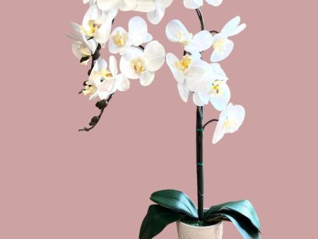 Stunning Orchids-Artificial-Good Gift Hot on Sale