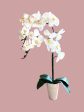 Stunning Orchids-Artificial-Good Gift Hot on Sale