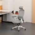 Carlie High Back Molded Foam Seat Ergonomic Office Chair In Grey Cheap