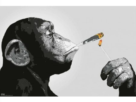 Steez Smoking Chimp Poster on Sale