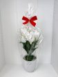 Stunning White Flowers in Ceramic Planter - Artificial-Good Gift Online now